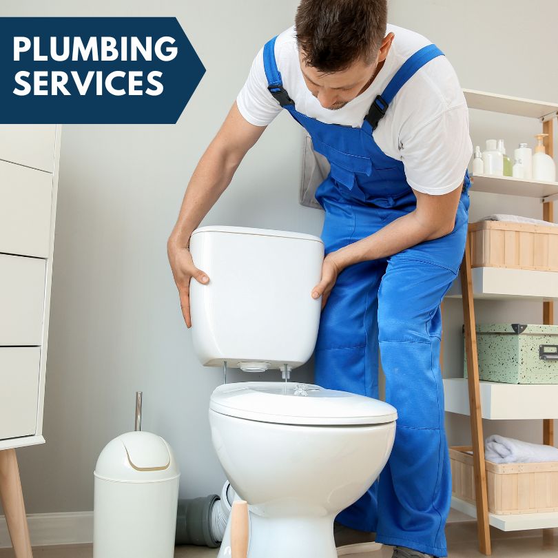 Plumbing Company in Calumet City, IL